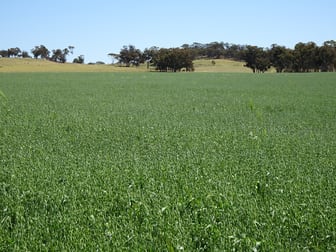 Lullfitz Road Pingelly WA 6308 - Image 1