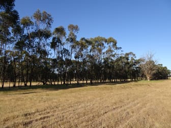 Lot 3815 Calcoran Road Popanyinning WA 6309 - Image 3