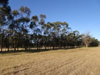Click to view all images Lot 3815 Calcoran Road Popanyinning WA 6309 - Image 3