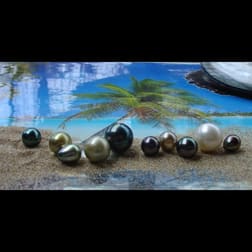 Clothing & Accessories  business for sale in Mornington - Image 1