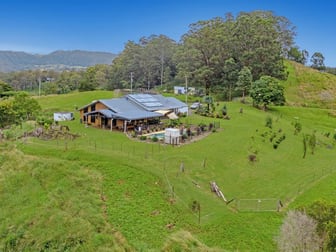 5005 Kyogle Road Cawongla NSW 2474 - Image 1