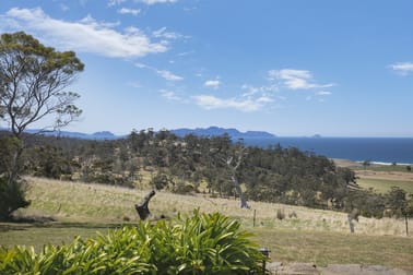 131 Banwell Road Little Swanport TAS 7190 - Image 3