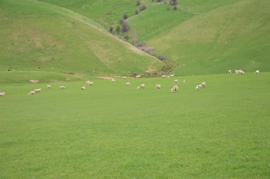 135A Baker Road Krowera VIC 3945 - Image 3