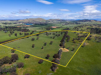 Lot 1 Carmel Park/177 Jones Lane Springrange NSW 2618 - Image 1