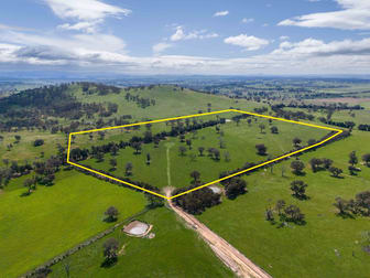 Lot 1 Carmel Park/177 Jones Lane Springrange NSW 2618 - Image 3