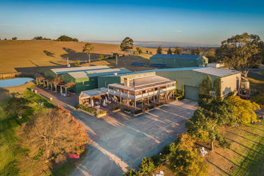 151 Palmers Lane Pokolbin NSW 2320 - Image 1