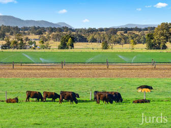 21 Neotsfield Lane Whittingham NSW 2330 - Image 2