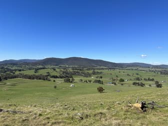 53 McClellands Lane Tumbarumba NSW 2653 - Image 1
