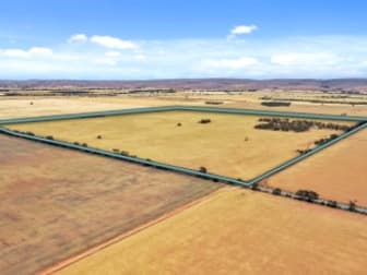 Click to view all images Section 63 Whitehouse Road Towitta SA 5353 - Image 2