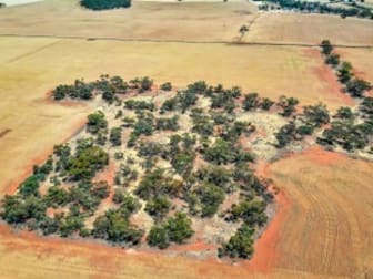 Click to view all images Section 63 Whitehouse Road Towitta SA 5353 - Image 3