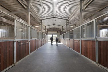700 Cuthill Road Cobbitty NSW 2570 - Image 3