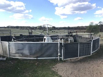 16910 Oxley Highway Coonabarabran NSW 2357 - Image 2