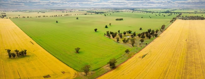 Cullivel Road Urana NSW 2645 - Image 1