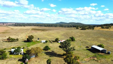 1466 Yarrabandai Road Forbes NSW 2871 - Image 2