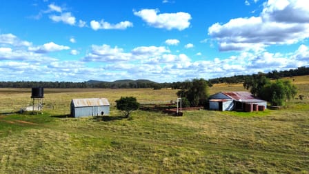 1466 Yarrabandai Road Forbes NSW 2871 - Image 3