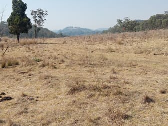 1366 Woodburn-Emello Rd Gulf Creek NSW 2347 - Image 1
