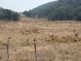1366 Woodburn-Emello Rd Gulf Creek NSW 2347 - Image 2