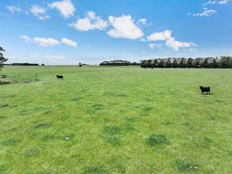 4540 Princes Highway Birregurra VIC 3242 - Image 3