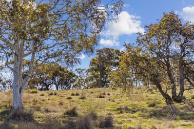 Treorchy & Lochinvar Rye Park Road Gunning NSW 2581 - Image 3