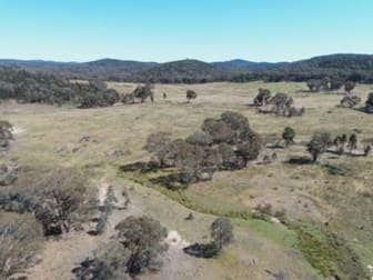 Click to view all images 273 Bocobra Road Manildra NSW 2865 - Image 2