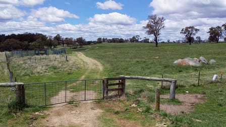 800 Shannon Vale Road Shannon Vale NSW 2370 - Image 3