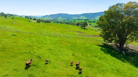 Part 430 Sandy Creek Road Sandy Creek VIC 3695 - Image 2