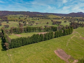 4255 Wangaratta-Whitfield Road King Valley VIC 3678 - Image 3