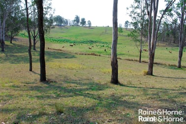 213 Dyraaba Road Piora NSW 2470 - Image 1