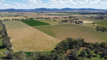 Lachlan Valley Way Gooloogong NSW 2805 - Image 1