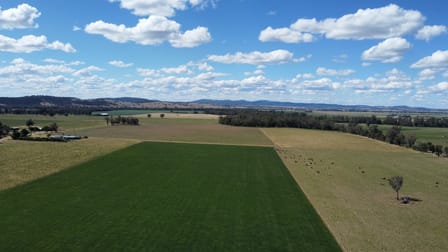 Lachlan Valley Way Gooloogong NSW 2805 - Image 2