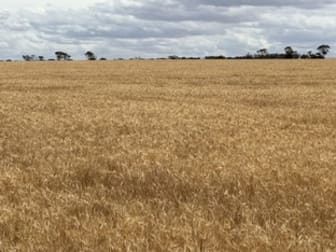 Click to view all images Nyabing-Kukerin Road Nyabing WA 6341 - Image 3