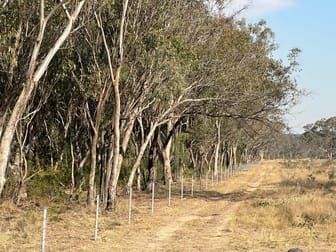 9 Back Creek Road Karara QLD 4352 - Image 1