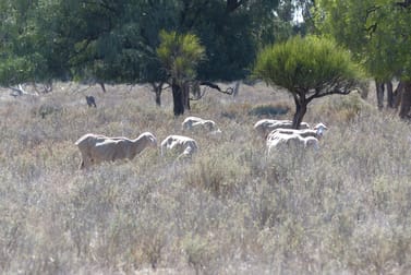 Part Belah, Colane Road Nyngan NSW 2825 - Image 2