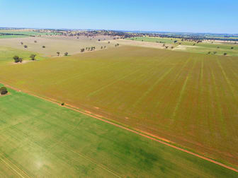 131 Casleys Lane Berry Jerry NSW 2701 - Image 3