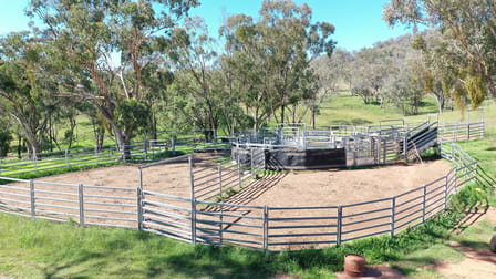1058 Old Bundarra Road Barraba NSW 2347 - Image 2