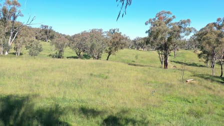 1058 Old Bundarra Road Barraba NSW 2347 - Image 3