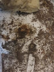 Pest Related  business for sale in Wangara - Image 2