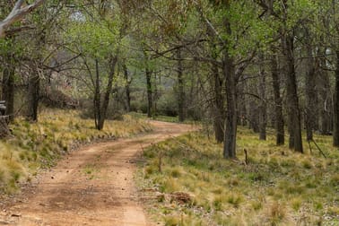 245 Tranquility Lane Dalgety NSW 2628 - Image 3