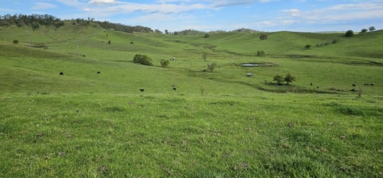 Lot 134 Bentley Road Cedar Point NSW 2474 - Image 2