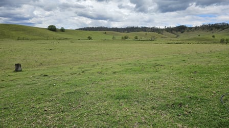 Lot 134 Bentley Road Cedar Point NSW 2474 - Image 1