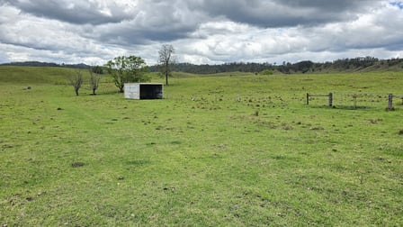 Lot 134 Bentley Road Cedar Point NSW 2474 - Image 3