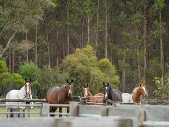 1284 Nareen Road Nareen VIC 3315 - Image 3