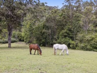 1111 Bowraville Road Bellingen NSW 2454 - Image 3