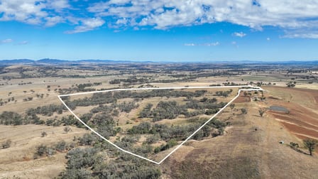 1193 Marsden Park Road Loomberah NSW 2340 - Image 3