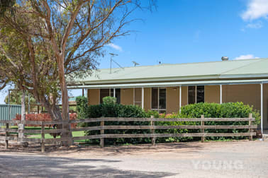 Click to view all images 1112 Mallala Road Korunye SA 5502 - Image 1