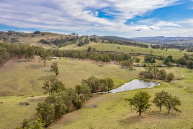 1712 Stroud Hill Road Dungog NSW 2420 - Image 2
