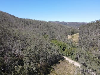 786 Terreel Road Wards River NSW 2422 - Image 1