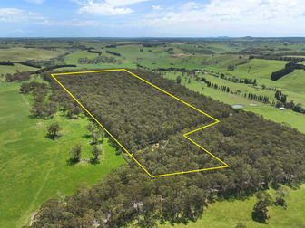 390 Old Port Campbell Road Jancourt East VIC 3266 - Image 3