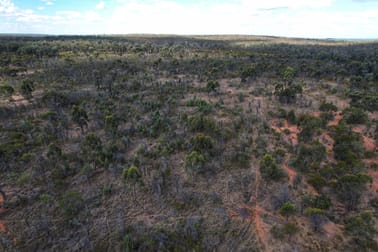 'Dalray' Pietschs Road Tullamore NSW 2874 - Image 3