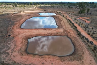 'Arakoola' 146 Bolams Road Tullamore NSW 2874 - Image 2